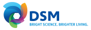 DSM India